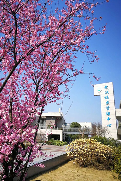歲月流金 · 青春不散場