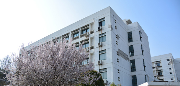 我的大學(xué)-大學(xué)志
