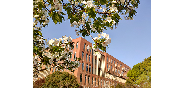 2021年招生分數(shù)