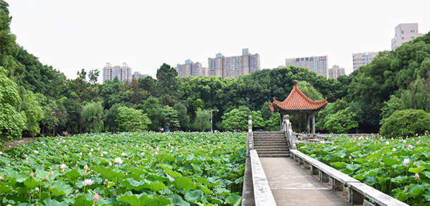 我的大學(xué)-大學(xué)志