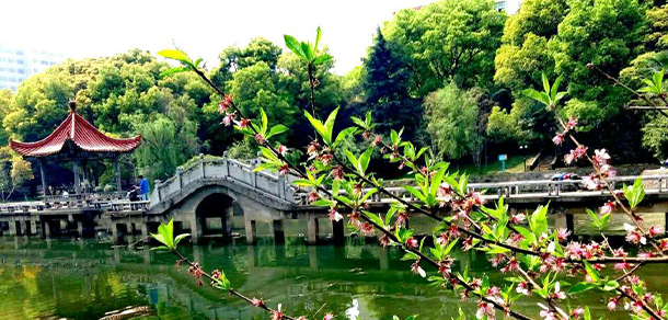 我的大學(xué)-大學(xué)志