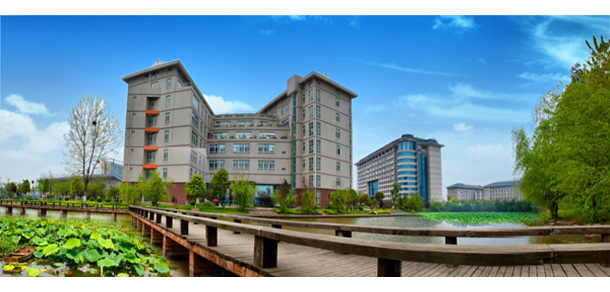 我的大學(xué)-大學(xué)志