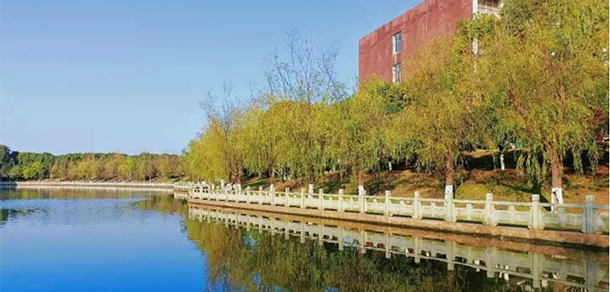我的大學(xué)-大學(xué)志