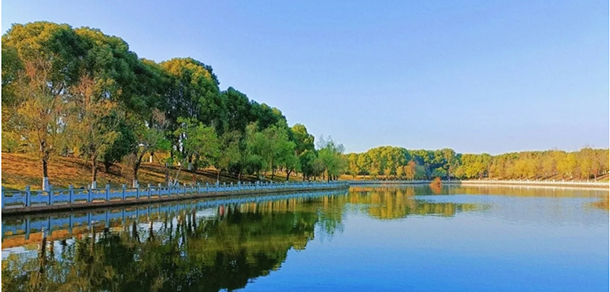 我的大學(xué)-大學(xué)志
