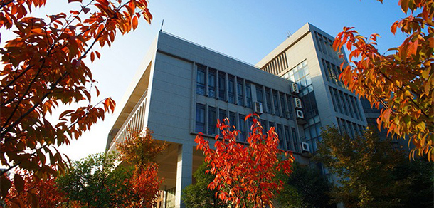 我的大學(xué)-大學(xué)志