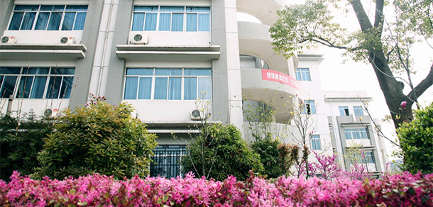 我的大學(xué)-大學(xué)志