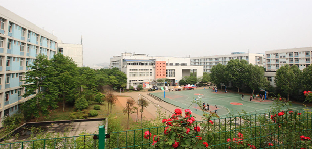 我的大學(xué)-大學(xué)志