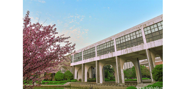 武漢設計工程學院