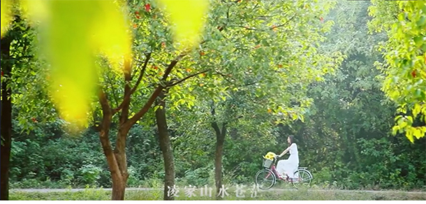2021年招生分?jǐn)?shù)