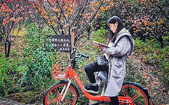 文化標識：校名題寫 / ?；赵O(shè)計