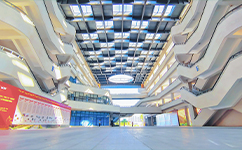 廣東石油化工學院 - 我的大學