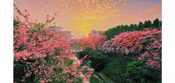 廣州軟件學(xué)院