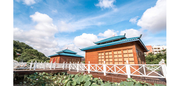 珠海科技學(xué)院