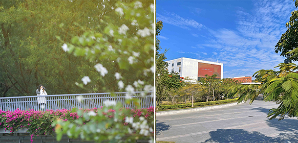 南方科技大學(xué)