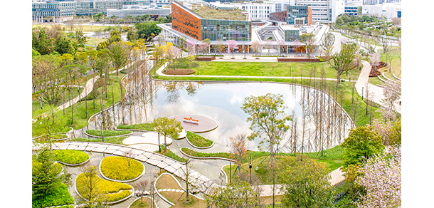南方科技大學(xué)