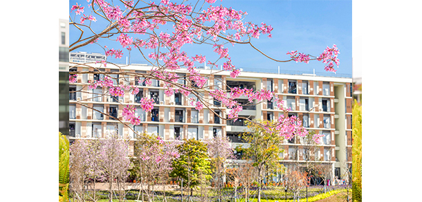 南方科技大學(xué)