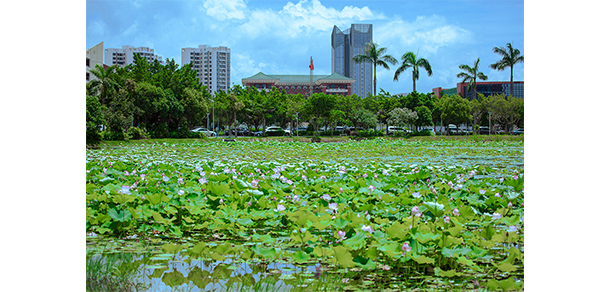 珠海城市職業(yè)技術學院