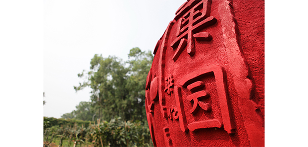 廣東舞蹈戲劇職業(yè)學院