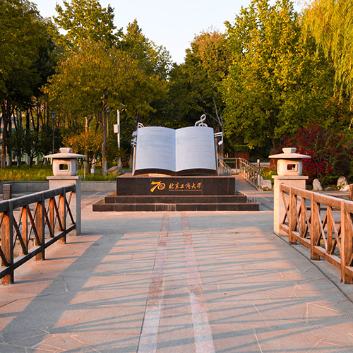 最美大學