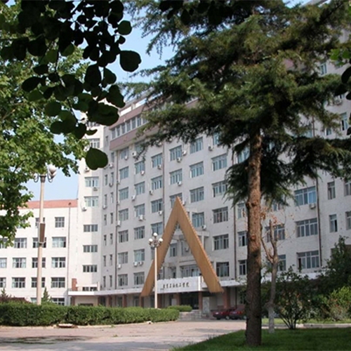 最美大學