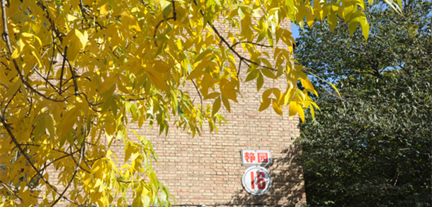 中國(guó)人民大學(xué) - 最美大學(xué)