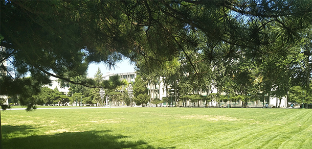 中國(guó)人民大學(xué) - 最美大學(xué)