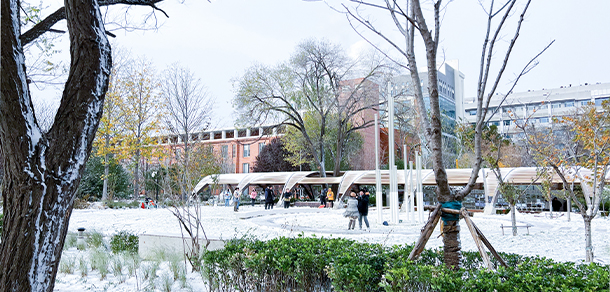 北京林業(yè)大學(xué)