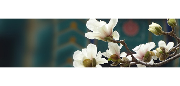 北京協(xié)和醫(yī)學(xué)院