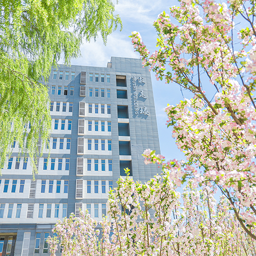 最美大學