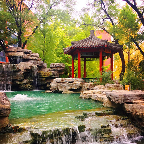 最美大學