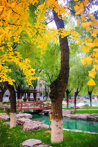中國傳媒大學