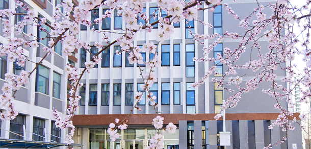 中央財經大學