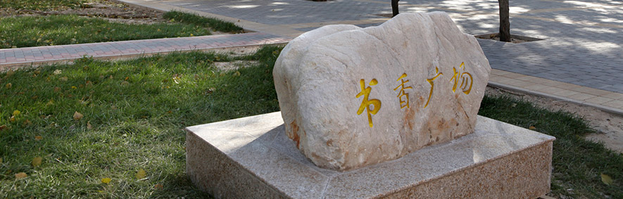 對(duì)外經(jīng)濟(jì)貿(mào)易大學(xué) 我的大學(xué)