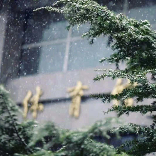最美大學(xué)