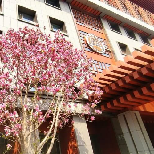 最美大學