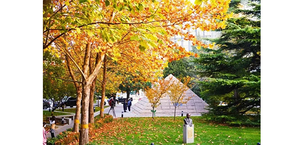 北京電影學(xué)院