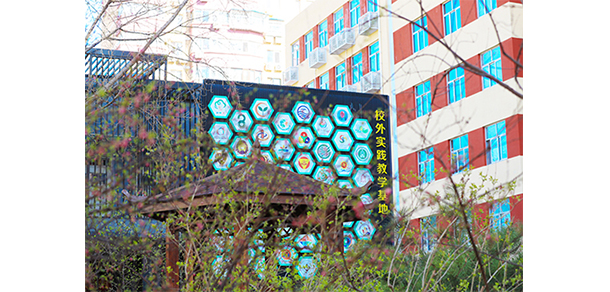 我的大學(xué)-大學(xué)志