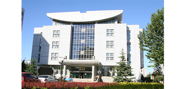 我的大學(xué)-大學(xué)志
