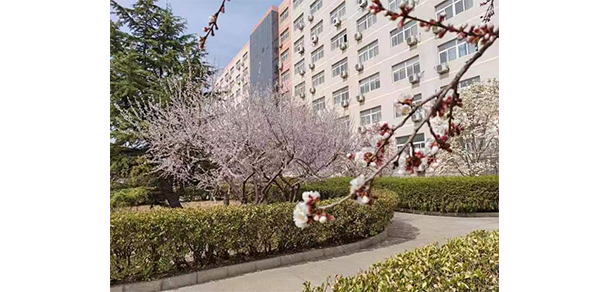 北京經(jīng)貿(mào)職業(yè)學(xué)院