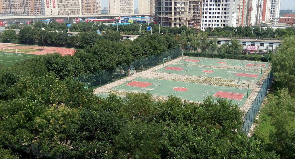 北京北大方正軟件職業(yè)技術(shù)學院：校名題寫 / 校徽設計