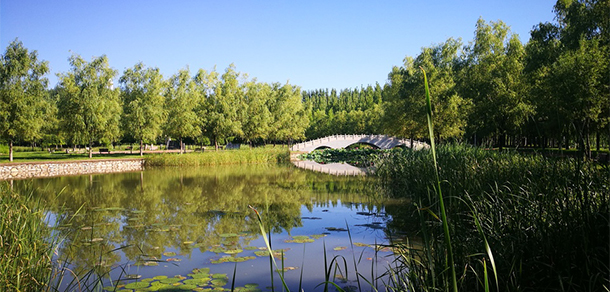 北京經(jīng)濟技術(shù)職業(yè)學(xué)院 - 最美大學(xué)