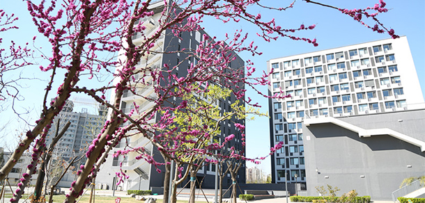 北京經(jīng)濟管理職業(yè)學院