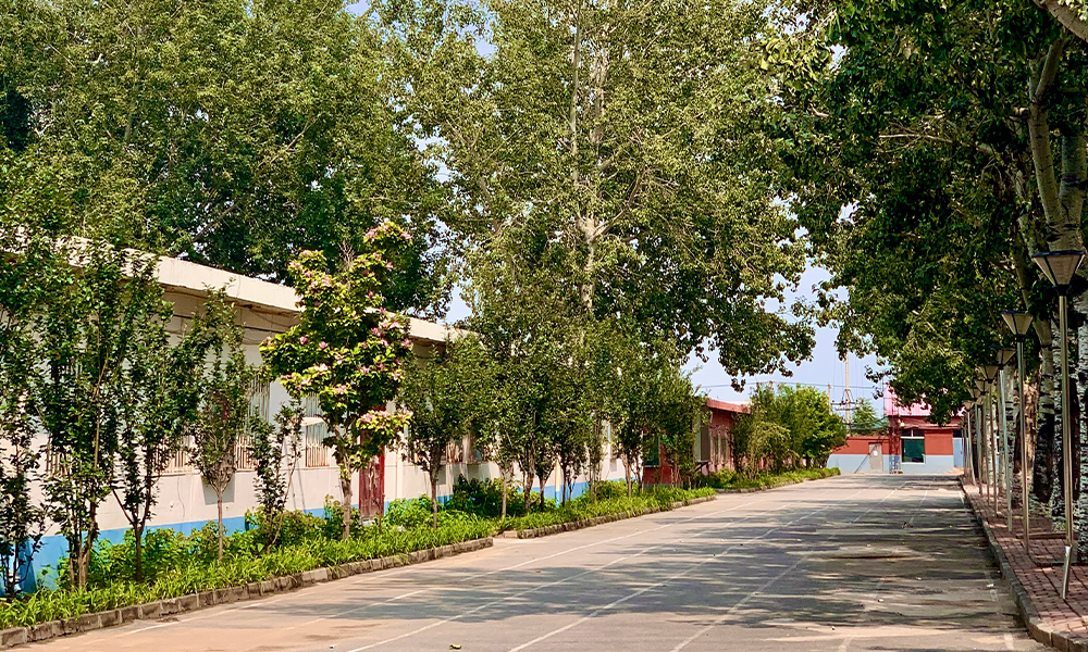 中國最美大學(xué)