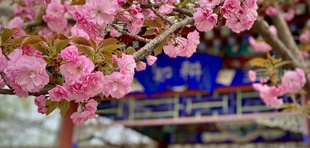 北京體育職業(yè)學(xué)院