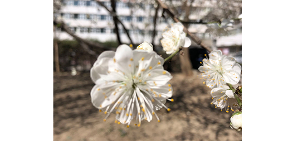 北京體育職業(yè)學(xué)院