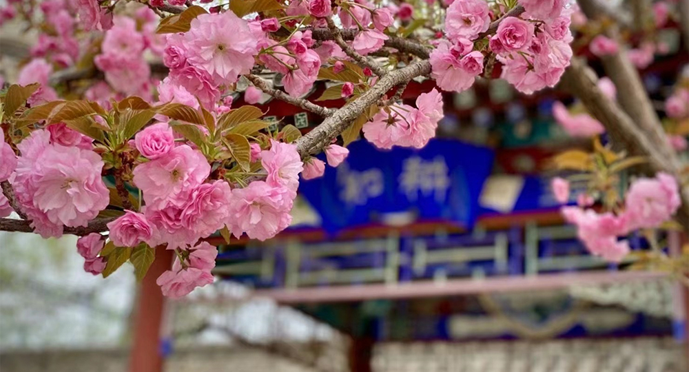 北京體育職業(yè)學(xué)院：校名題寫 / ?；赵O(shè)計