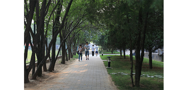 北京青年政治學(xué)院