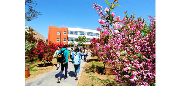 我的大學-大學志