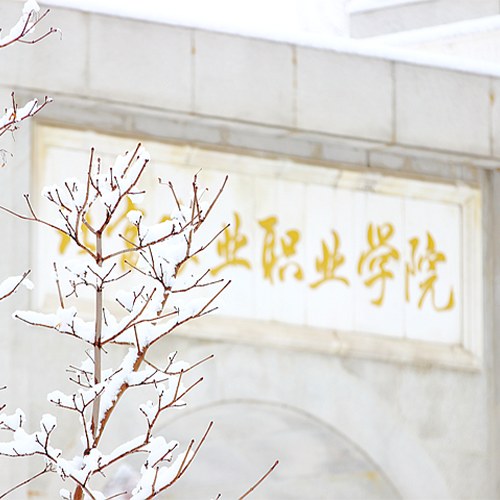 大學(xué)簡(jiǎn)介