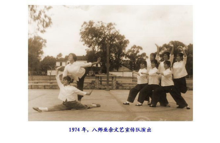 歷史沿革